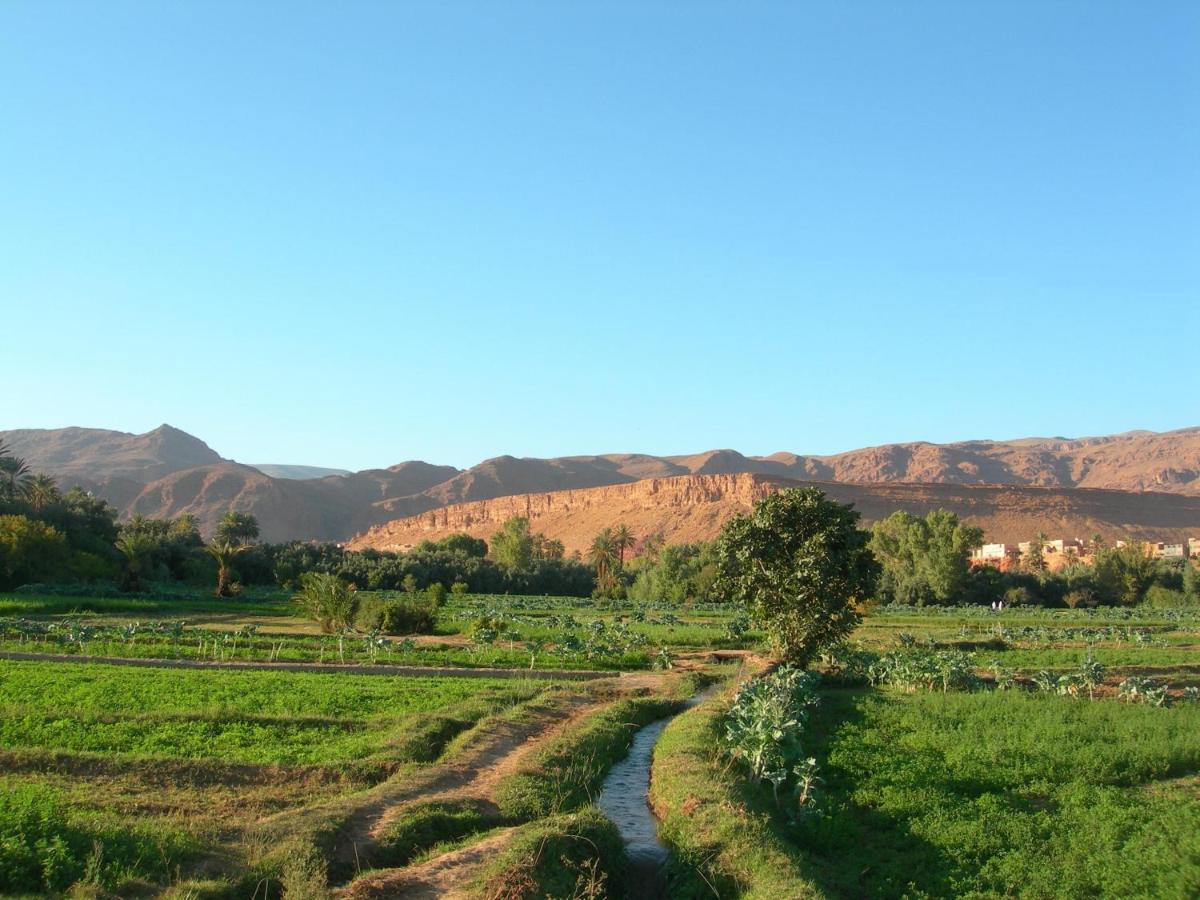 Maison La Lune Des Gorges Tinghir Ngoại thất bức ảnh